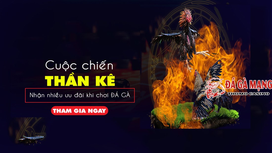 đá gà trực tuyến